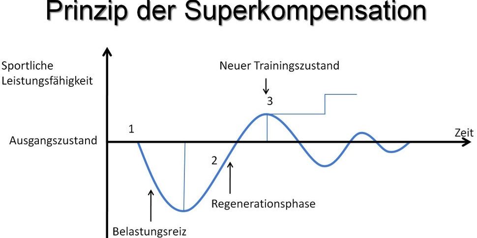 Superkompensation Superkompensation im Fussball